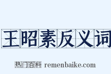 王昭素反义词是什么意思的图片